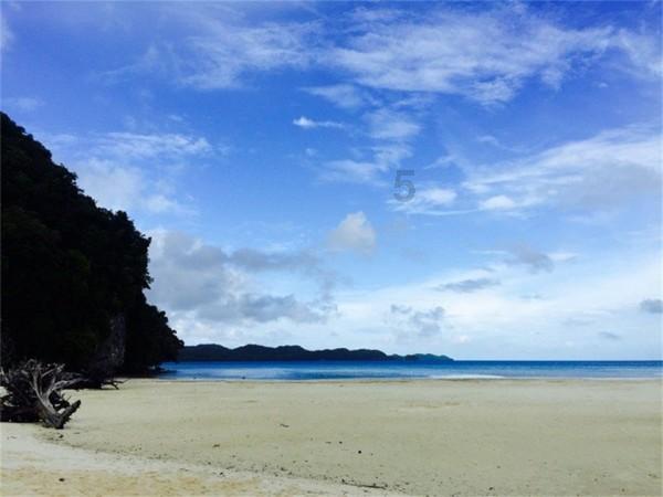 浓浓惜别情，暖暖祝福意：赵县农村信用联社举办2023年退休职工欢送会