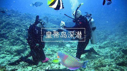 陕西省2024年统一考试录用公务员公告